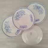 Assiettes Plates Faïence Ancienne Saint Amand Hamage Modèle Flora Vintage
