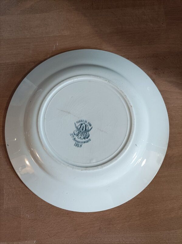 Plate Plate iron earth Iris