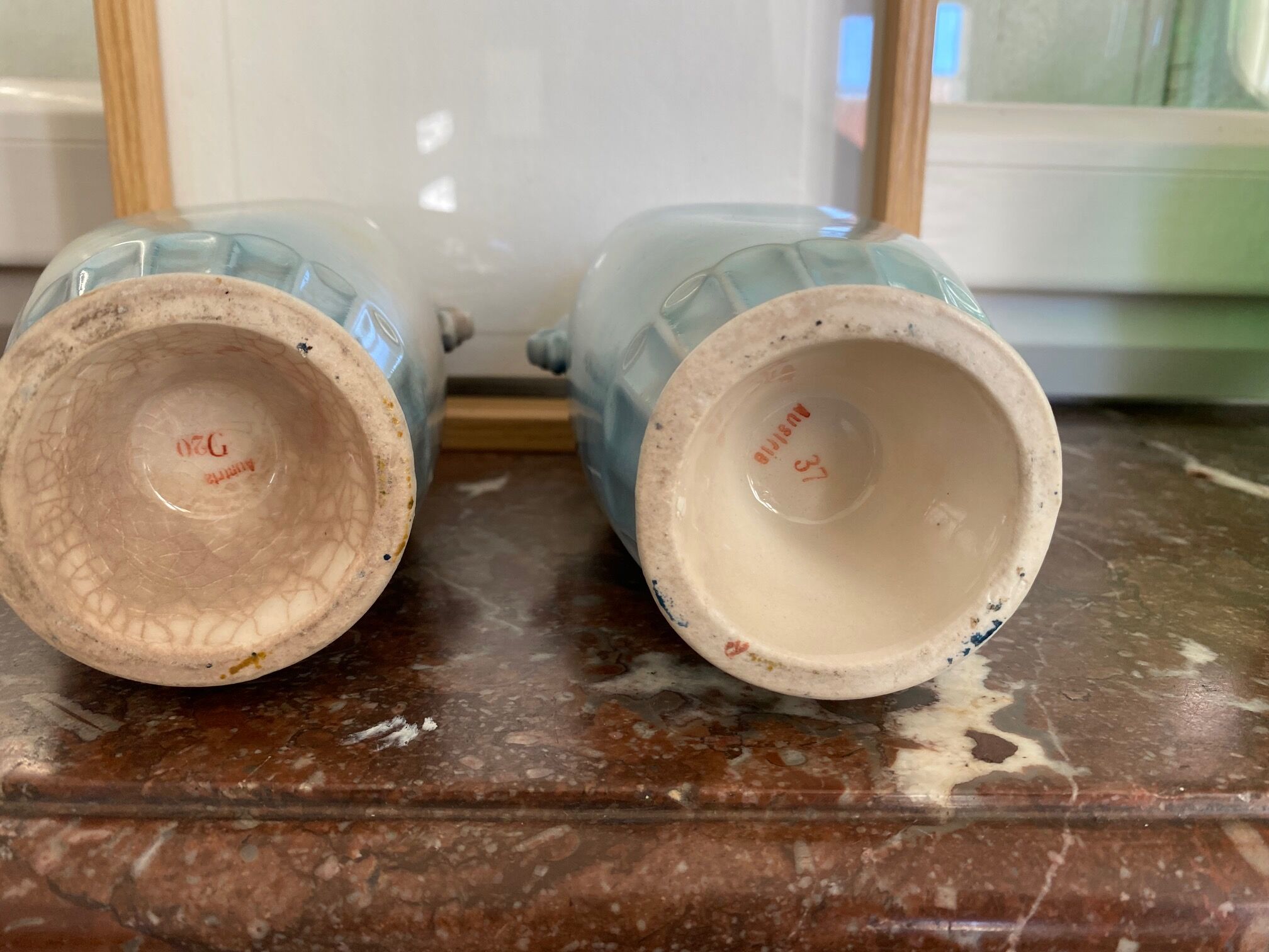 Paire de vases art nouveau décor lacustre