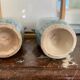 Paire de vases art nouveau décor lacustre