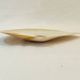 Large mother-of-pearl oyster natural pearl trinket dish from the 70s