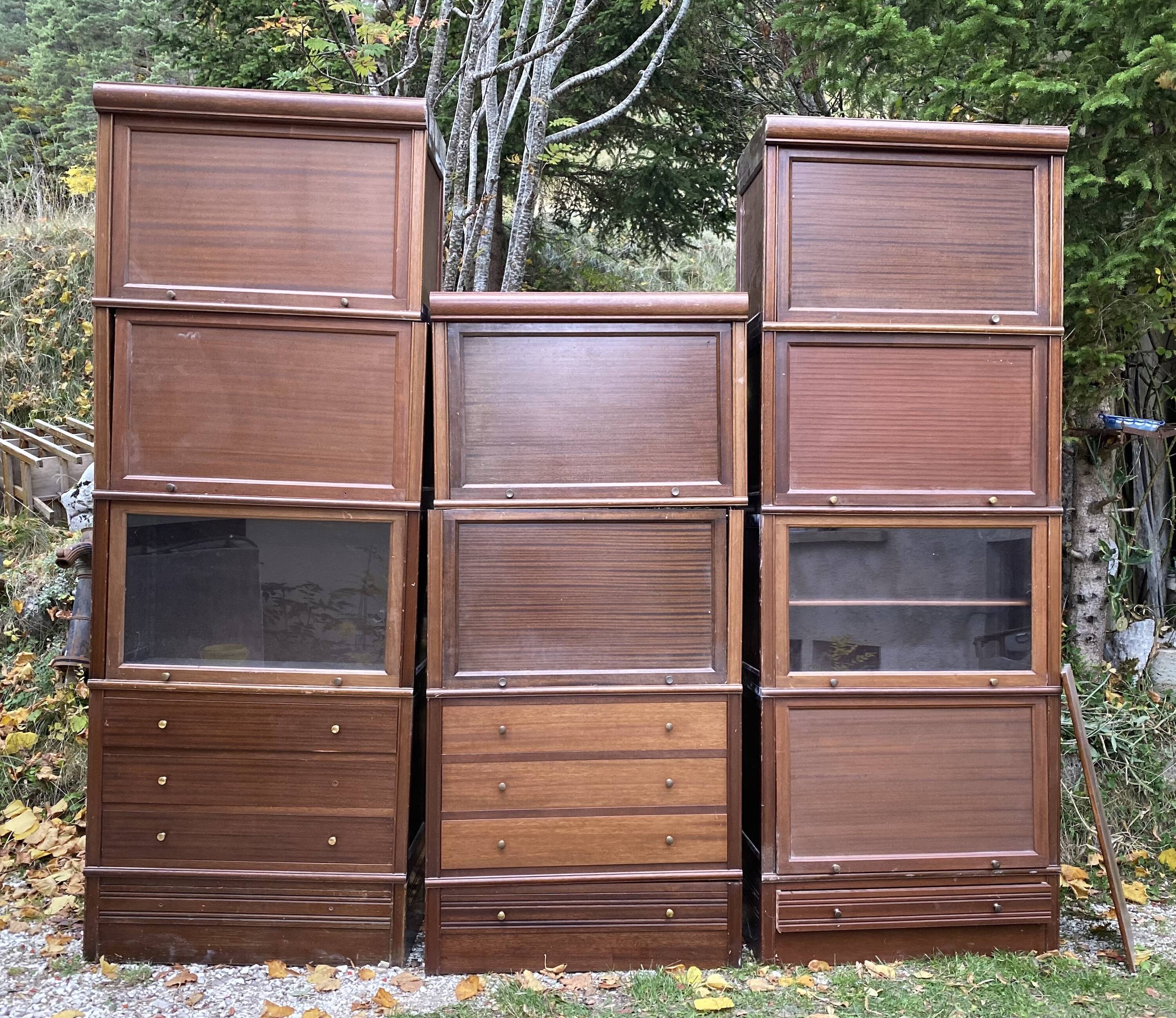 Modular library M.D vintage 1960