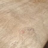 School office year 50