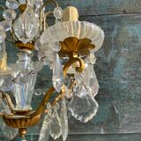 Chandelier with bronze and crystal grapevines