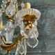 Chandelier with bronze and crystal grapevines