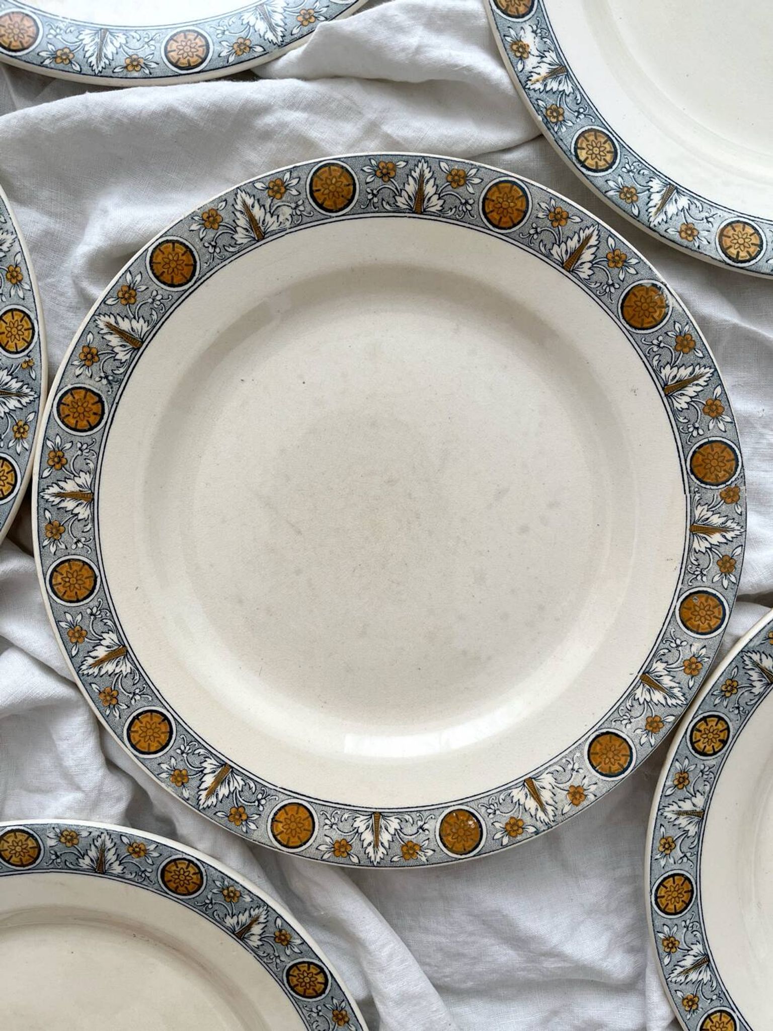 10 assiettes plates en terre de fer « Lamartine » Salins