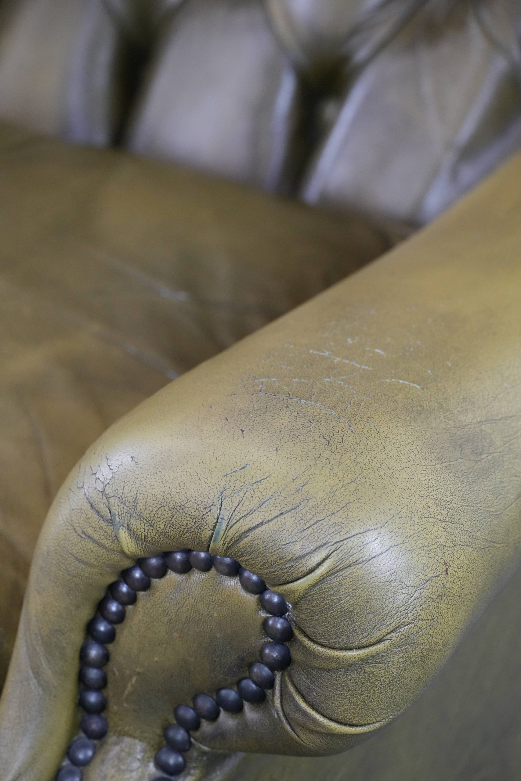 Moss green cow leather Chesterfield wingback armchair in English style