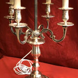 Silver bronze hot water bottle lamp