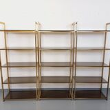 Artelano vintage bookcase shelves in gold metal smoked glass from the 70s