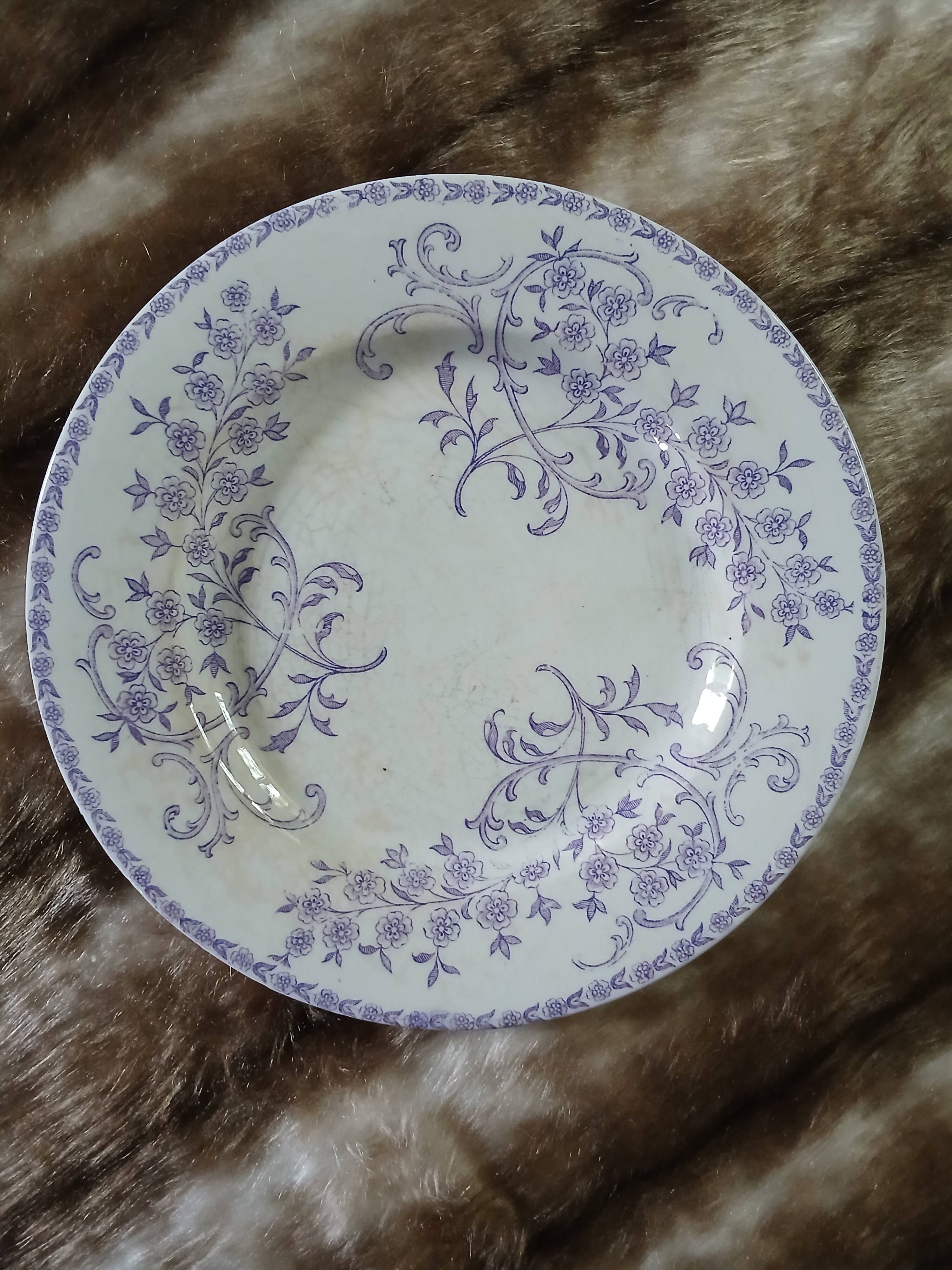 10 assiettes plates anciennes en Terre de fer