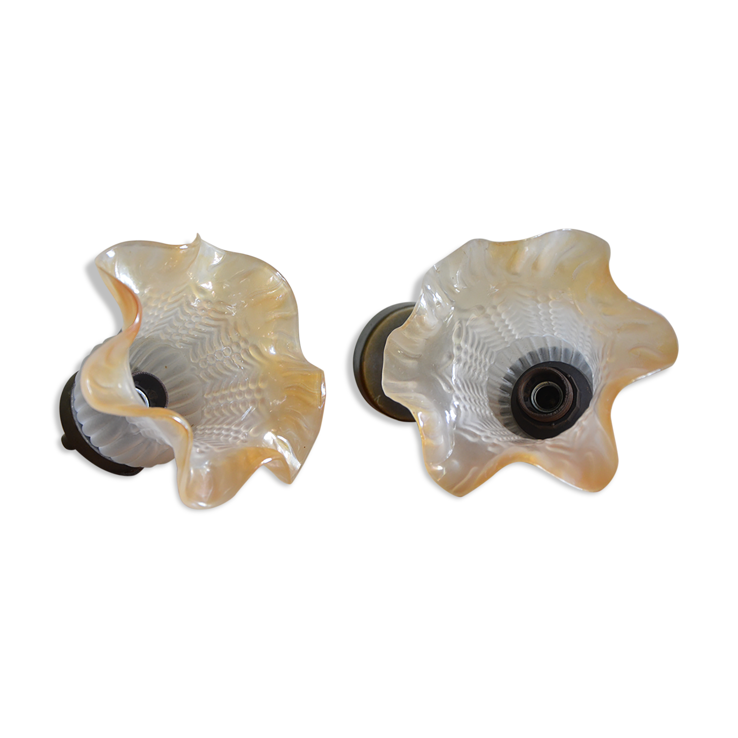 Pair of tulip appliques