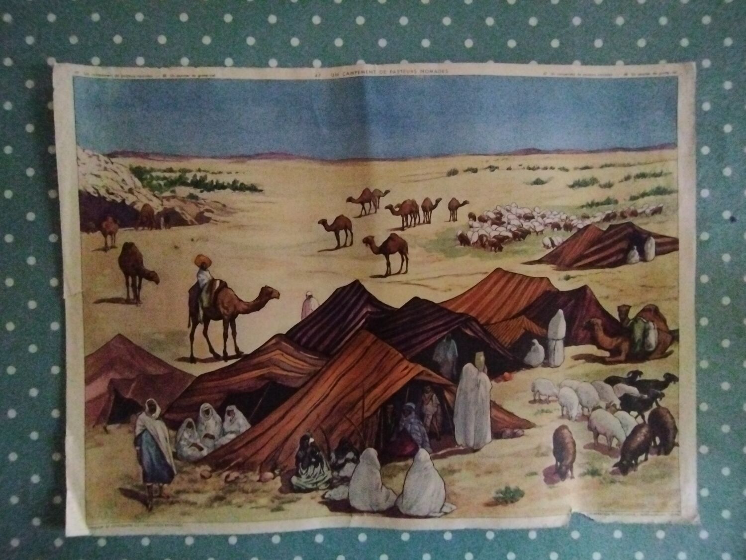 Vintage poster Rossignol edition