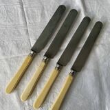 Box of 12 table knives XIXth Napoleon III