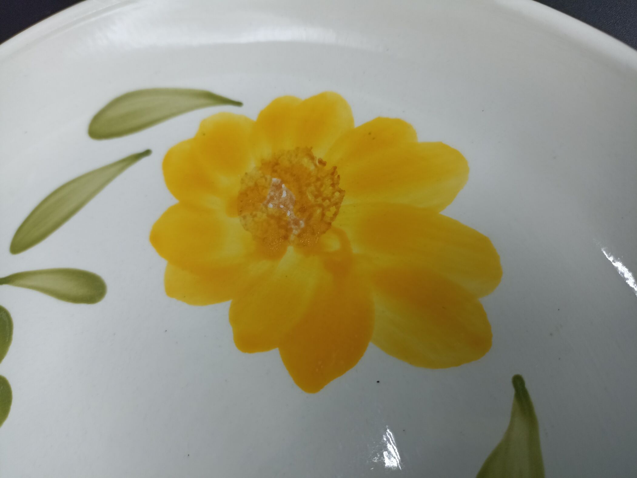 5 mismatched plates Digoin-Sarreguemines