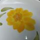 5 mismatched plates Digoin-Sarreguemines