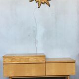 Furniture TV/hifi enfilade vintage door flap 1950 1960 retro