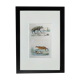 Original Zoological Plate " Hyena & Otter of Canada - Buffon 1940
