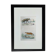 Original Zoological Plate " Hyena & Otter of Canada - Buffon 1940
