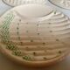 Six antique asparagus plates