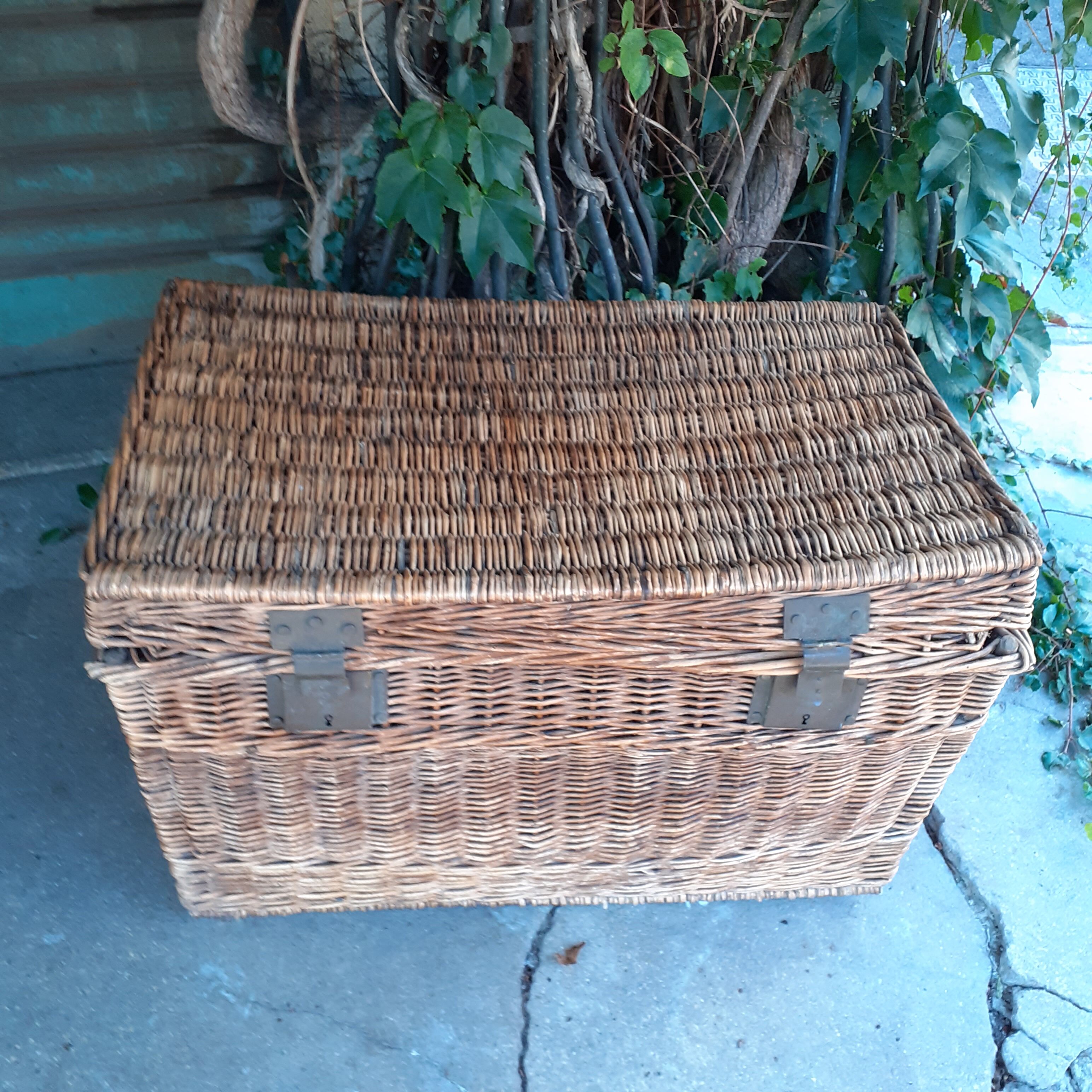 Wicker trunk