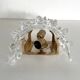 Murano Glass and Brass Wall Lights or Sconces in Barovier Style