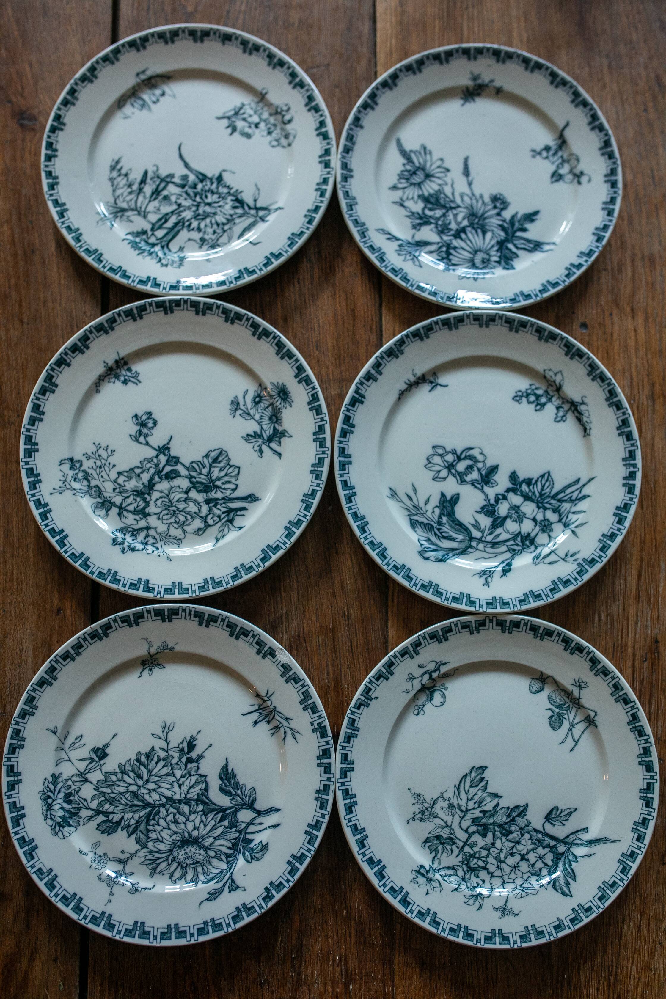 Les 6 assiettes sarreguemines