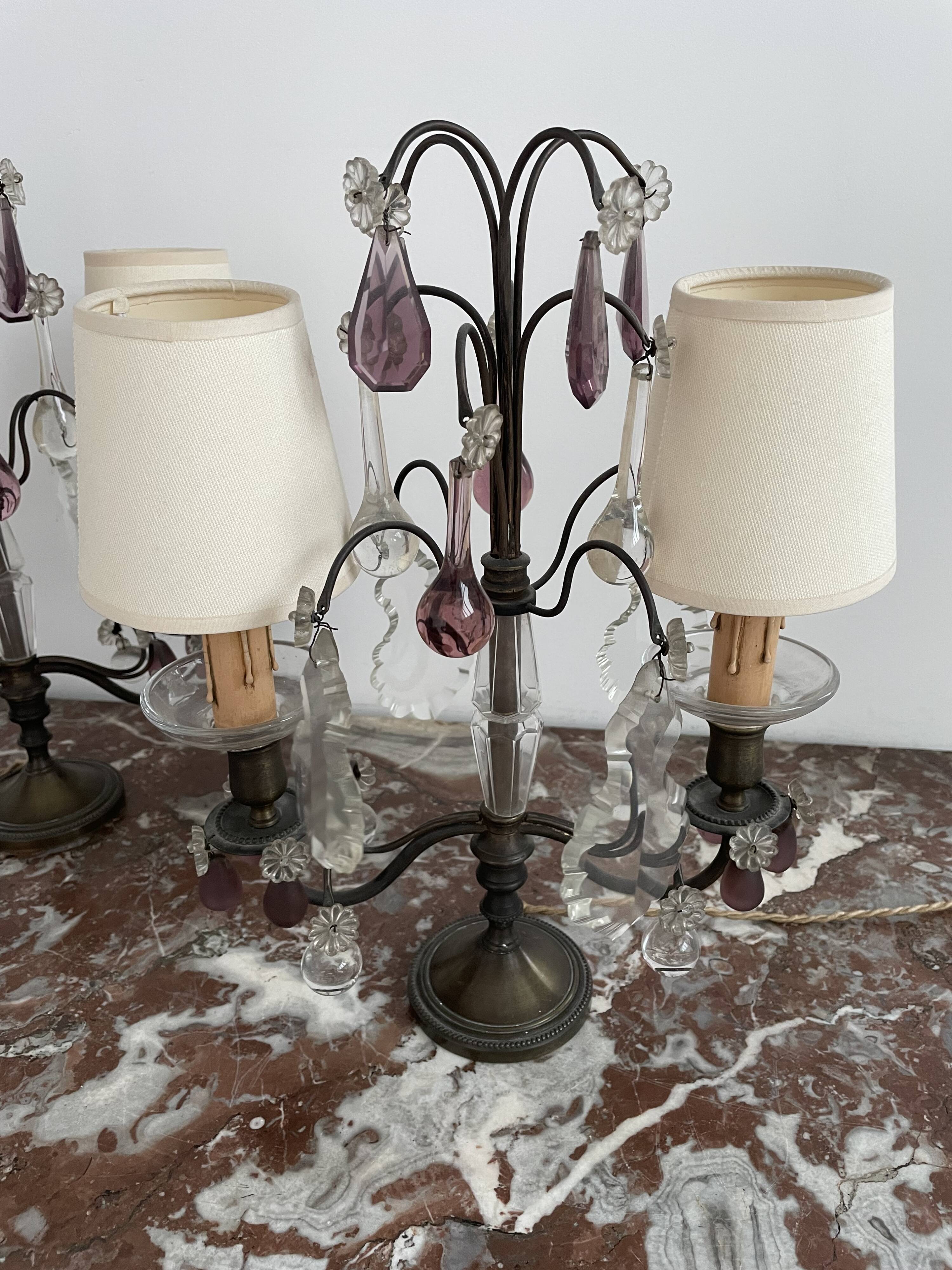 pair of chandeliers, lamp, silver-plated metal, crystal, tassels, florets, pendant, rosettes