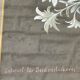 Painting old flowers Stauffacher cabinet of curiosity