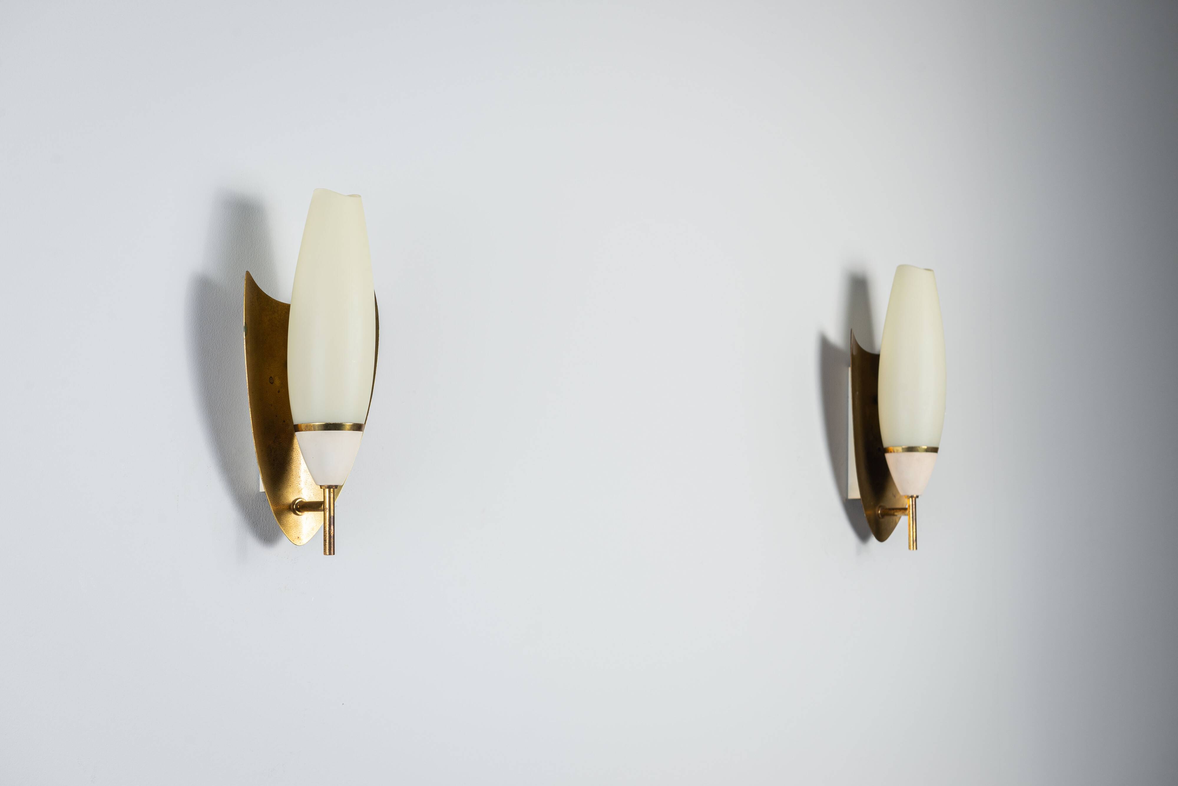 Pair of wall lamps with brass shields and glass shades
