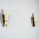 Pair of wall lamps with brass shields and glass shades