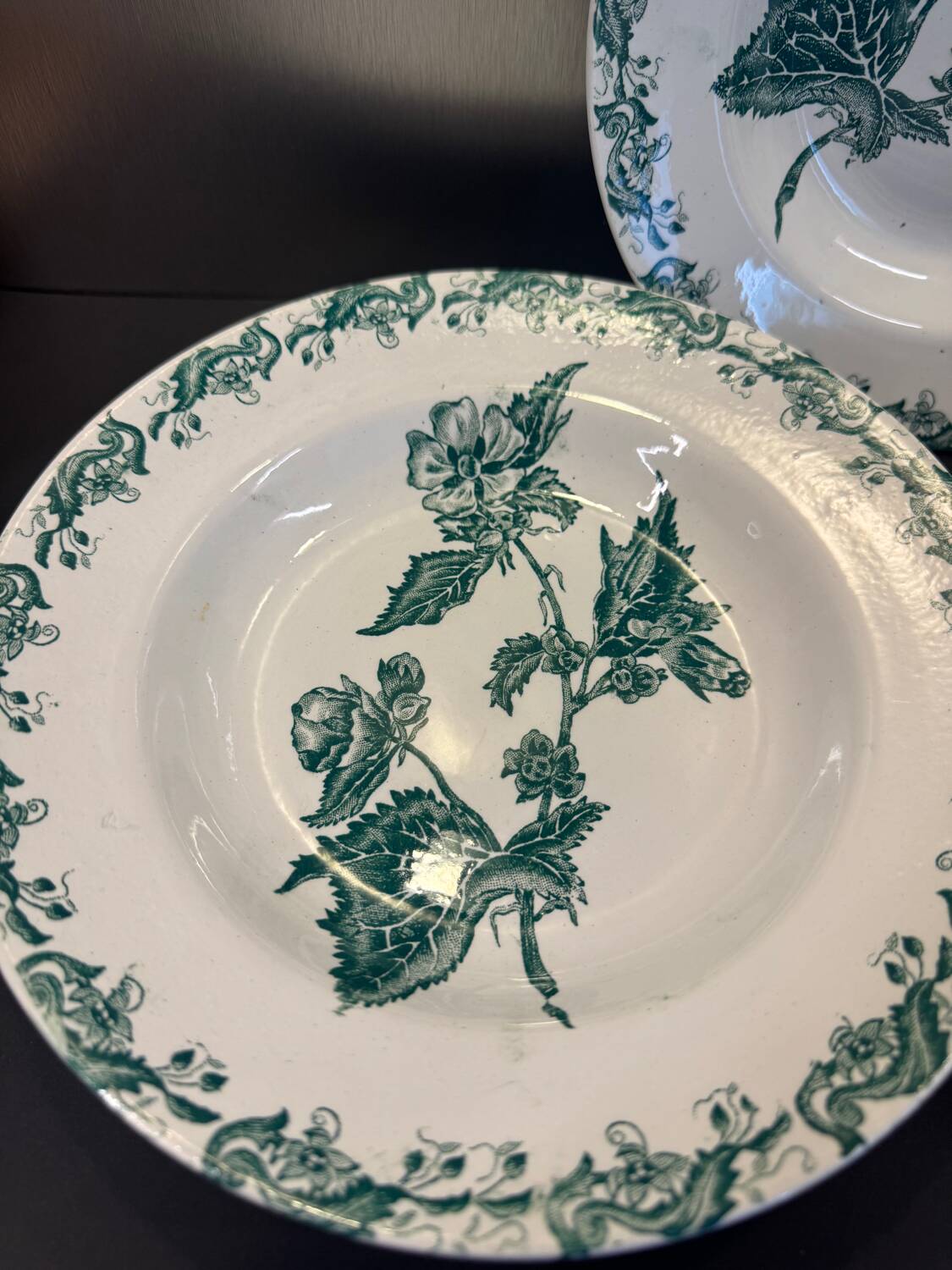 Set of 7 Terre de fer soup plates, green