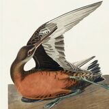 Poster about the Hudson's River Barge, based on an old engraving from 1827.