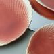 Set of 6 Sarreguemines barbotine shell plates