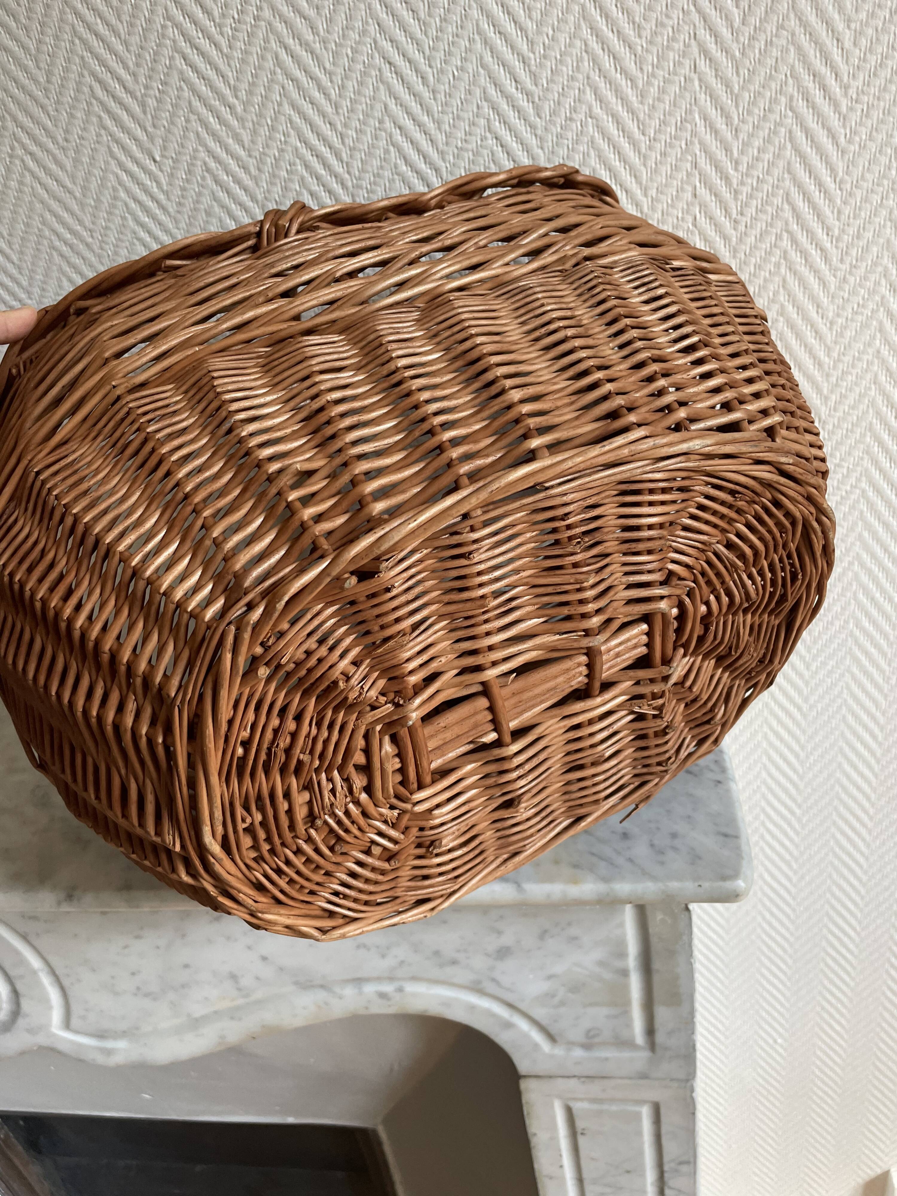 Domed wicker basket