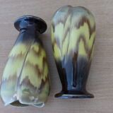 Set of 2 vases