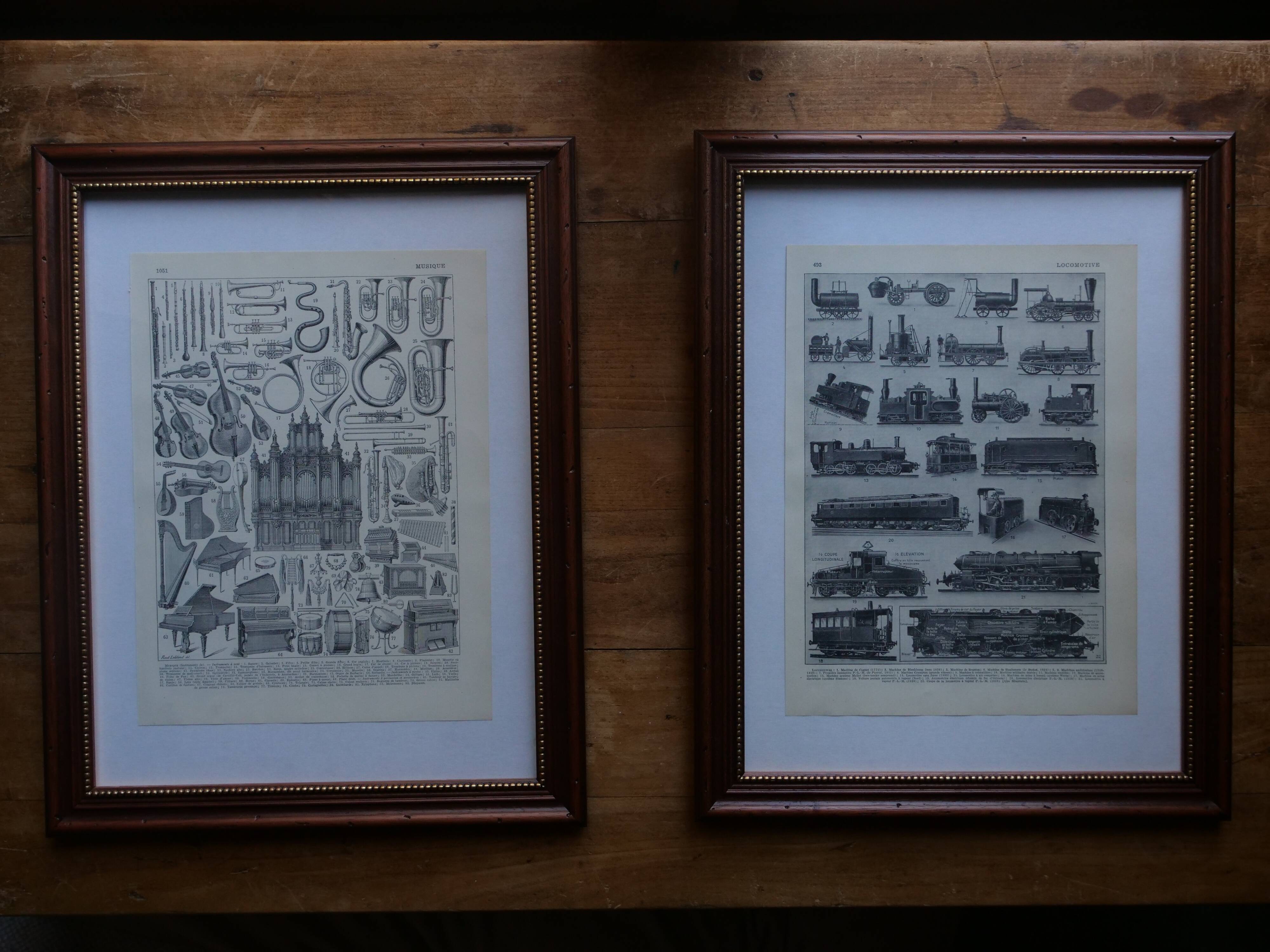 Lithographies originales sur les fleurs