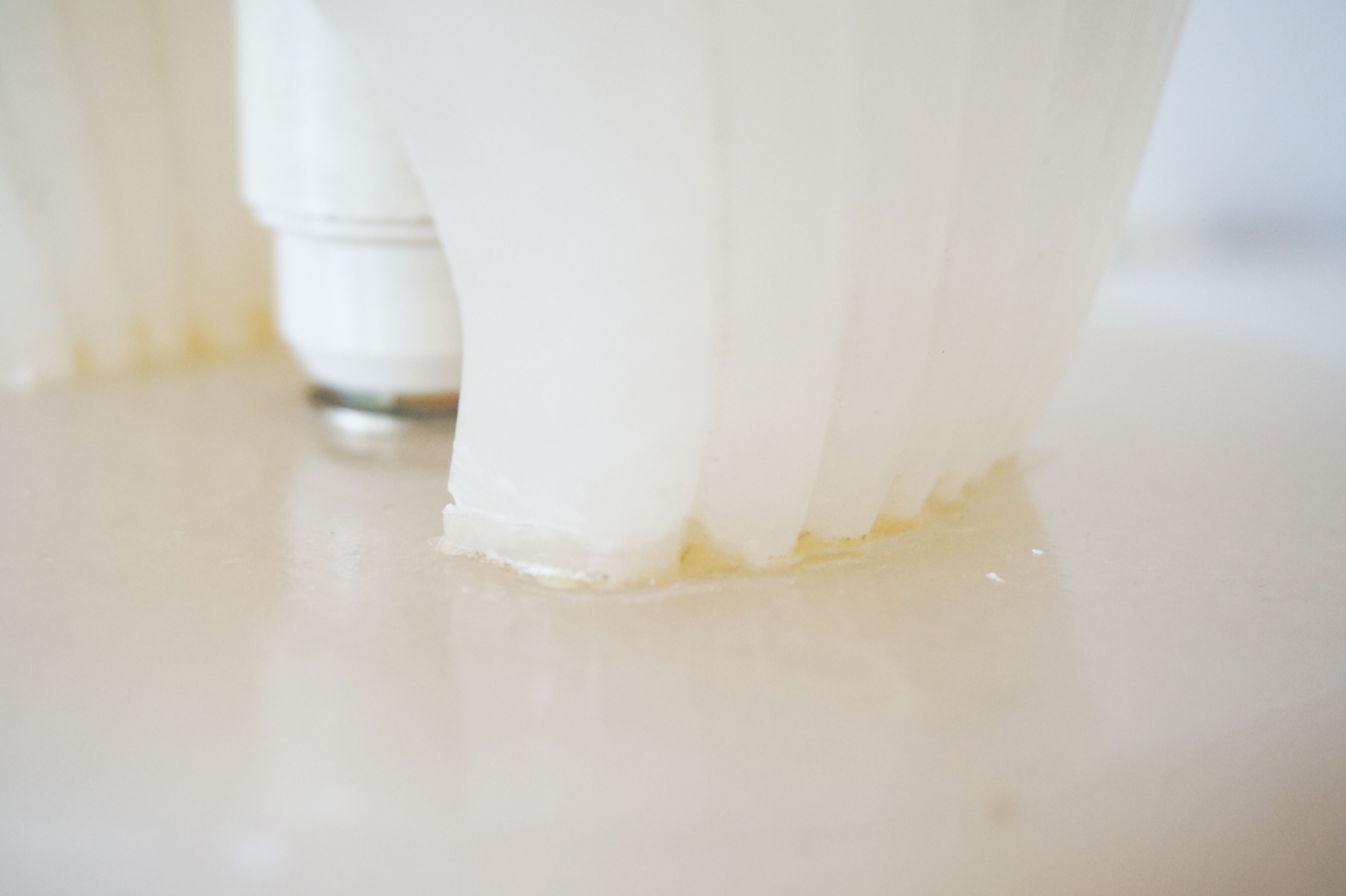 Alabaster shell lamp