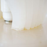 Alabaster shell lamp