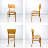 Chaise vintage Frankfurter en bois Mid-Century design rétro classique pour