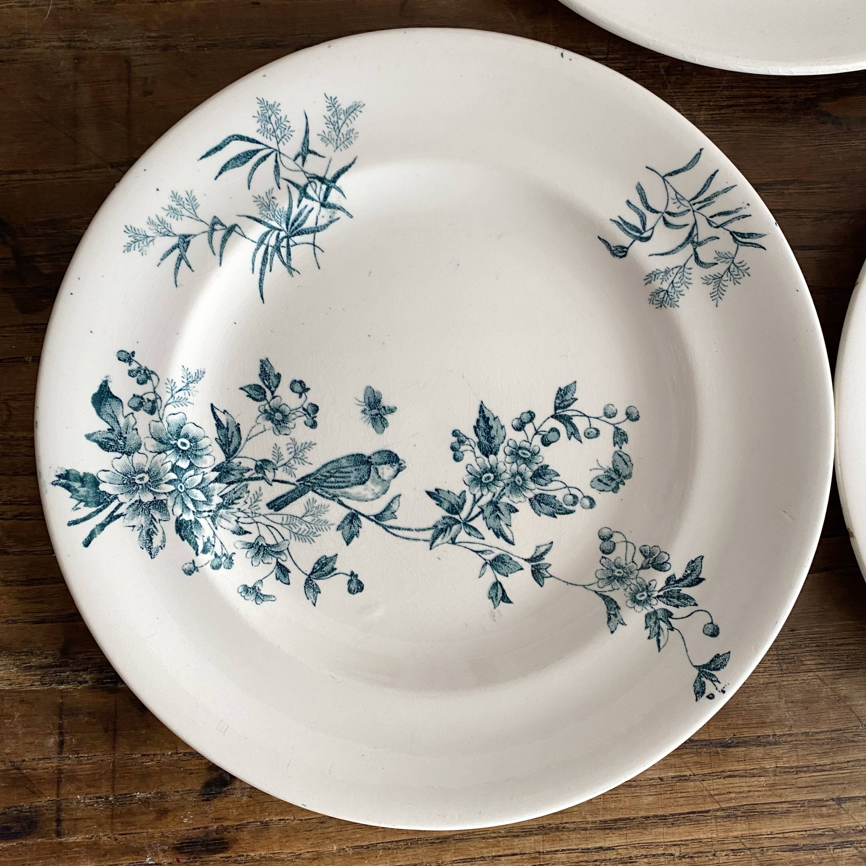 Assiettes plates en terre de fer Longwy "Mignon"