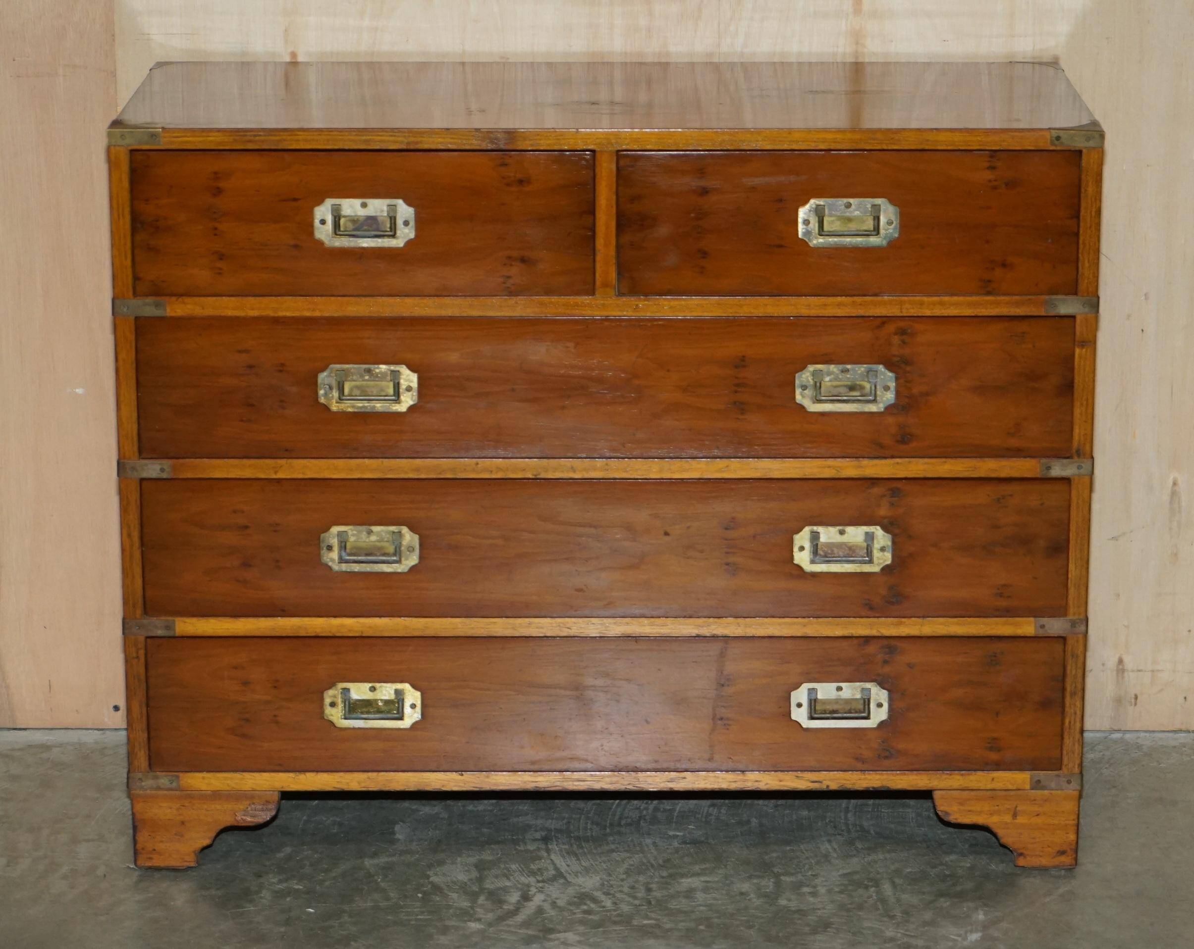 Vintage military campaign chest of drawers in burr yew wood.