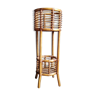 Rattan and caning plant holder