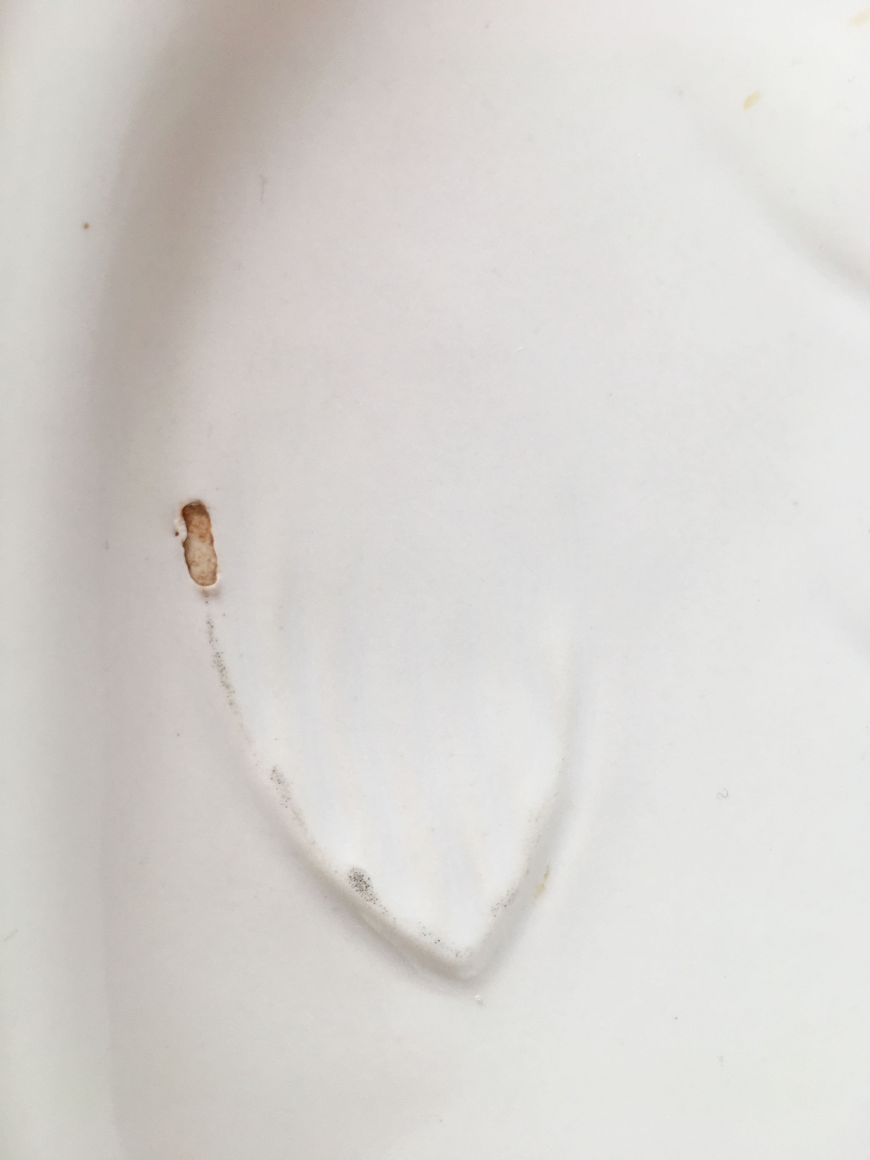 White ceramic fish dish