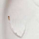 White ceramic fish dish