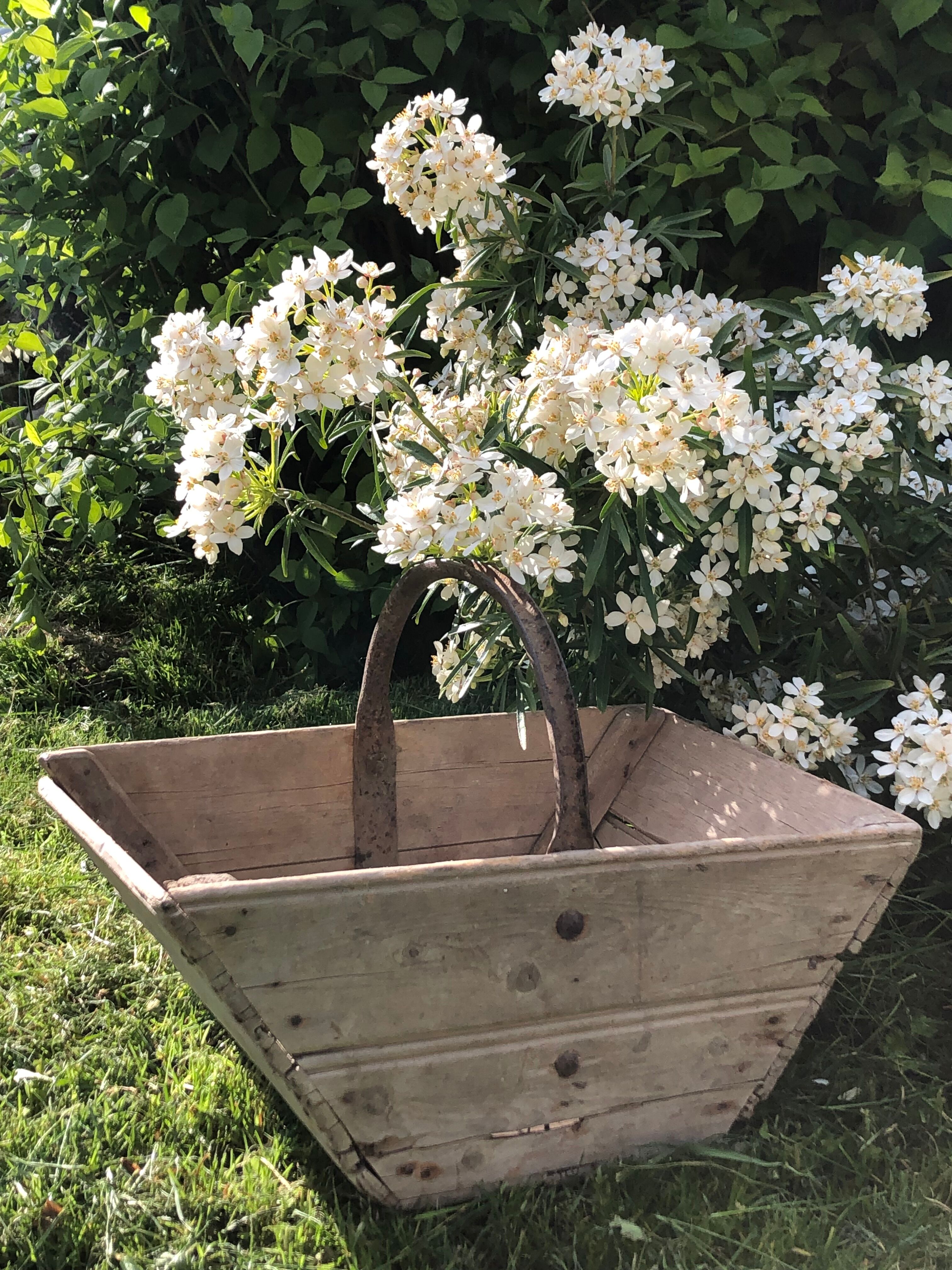 Garden basket
