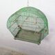 Old Green Birdcage