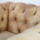 Chesterfield armchair made of cowhide leather in a light cognac colour