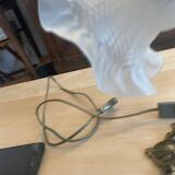 Tulip lamp
