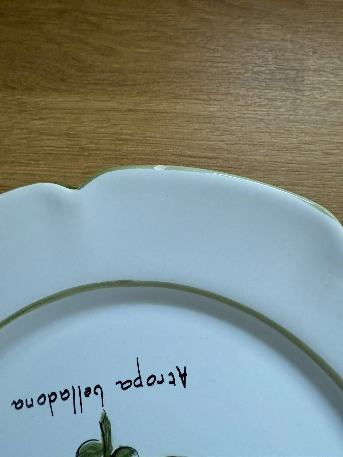 Pair of vintage Charolles plates hand-painted – Botanical decor