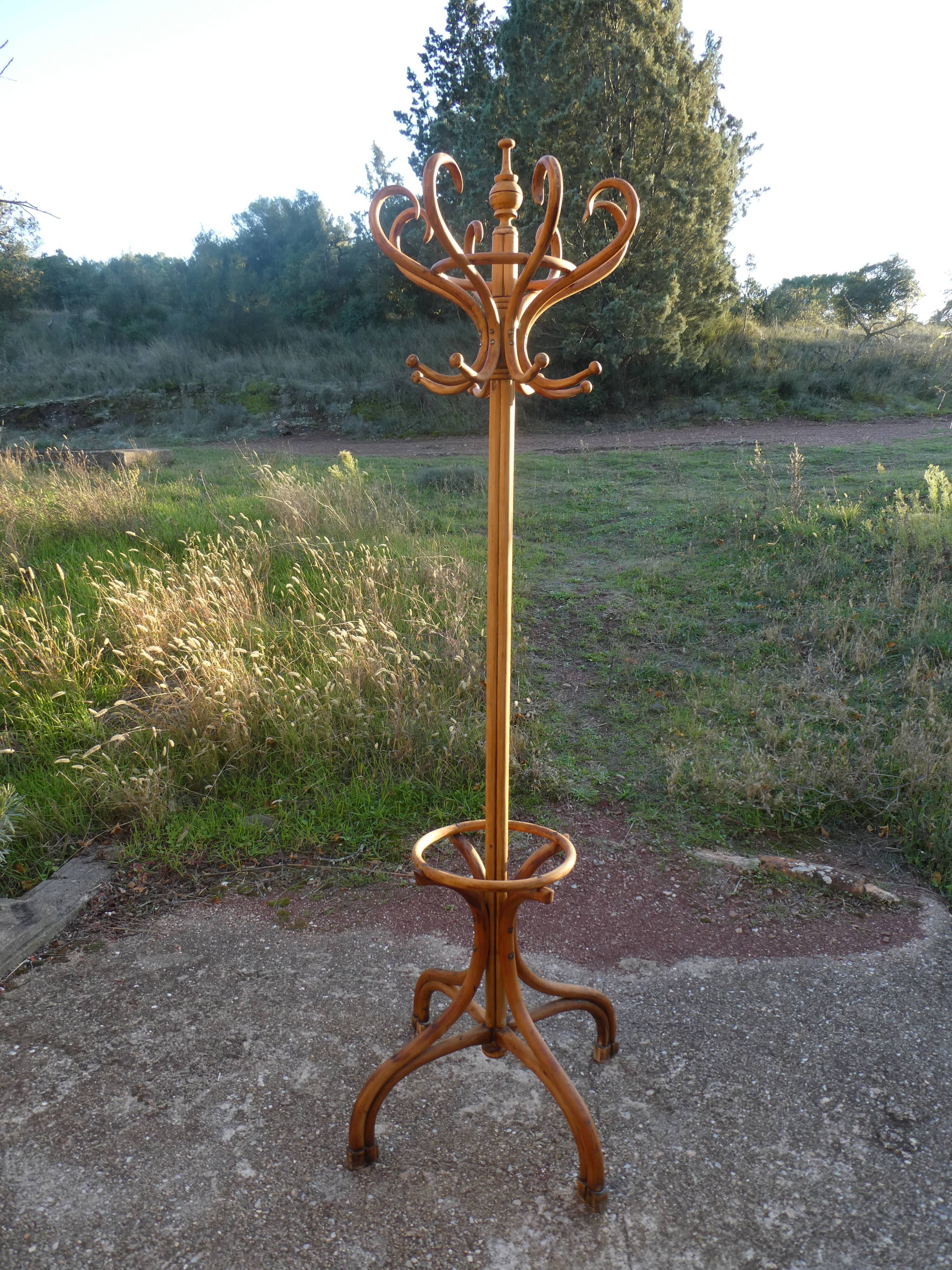 Parrot coat rack in curved wood - Art Nouveau